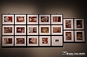 VBS_1549 - Mostra Vivian Maier - Inedita